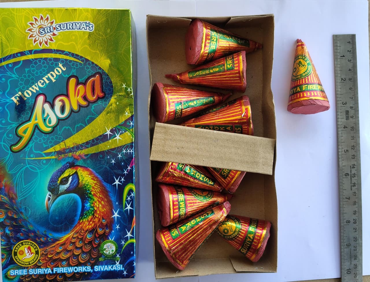 Flower Pot Asoka